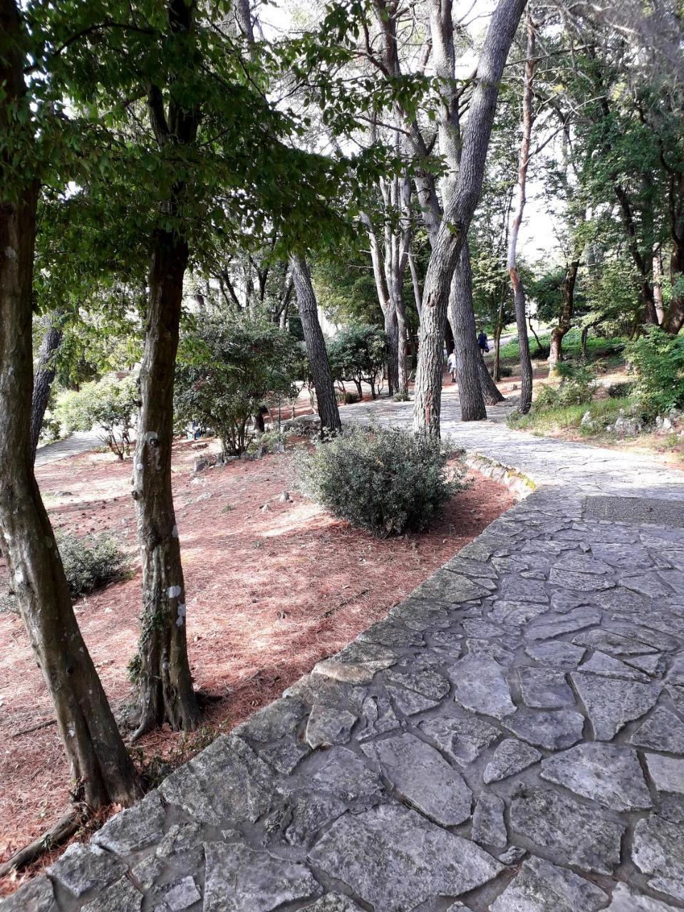 Apartments And Rooms Haludovo - Ribarsko Selo Malinska Exterior photo